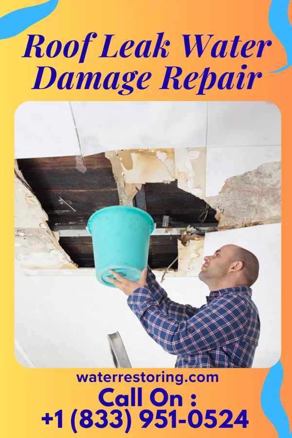 Roof Leak Water Damage Repair in North Kansas City, MO